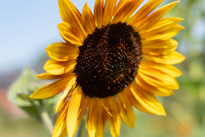 国产自拍榆拍 国产自拍榆拍