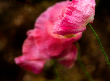 日本深夜剧|xxxx日本高清 日本深夜剧|xxxx日本高清