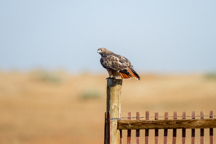国产肥熟老胖女91 国产肥熟老胖女91