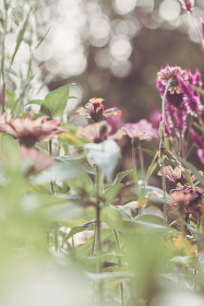 zhtj youthcn:探索青年文化与创新发展的新趋势 zhtj youthcn:探索青年文化与创新发展的新趋势