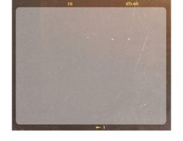 sxq97