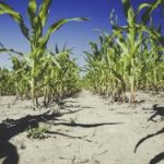 zain:探索Zain在中东通信行业的创新与发展之路 vy2cgzqj